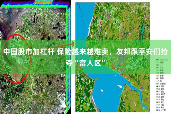 中国股市加杠杆 保险越来越难卖，友邦跟平安们抢夺“富人区”