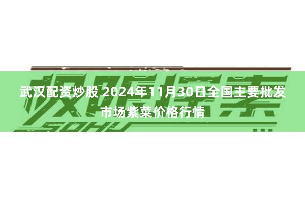 武汉配资炒股 2024年11月30日全国主要批发市场紫菜价格行情