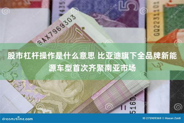 股市杠杆操作是什么意思 比亚迪旗下全品牌新能源车型首次齐聚南亚市场