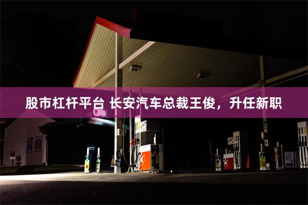 股市杠杆平台 长安汽车总裁王俊，升任新职